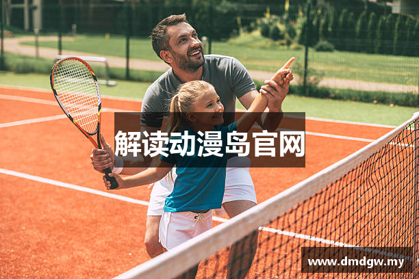 解读动漫岛官网